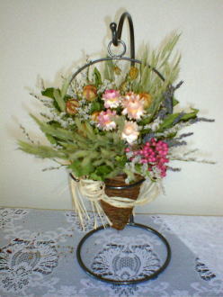 �h���C�t�����[�̃J�S�A�����W�b�A�g���G���������[�t