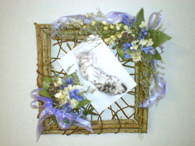 �h���C�t�����[�ؐ��{�[�h�A�����W�b�A�g���G���������[�t