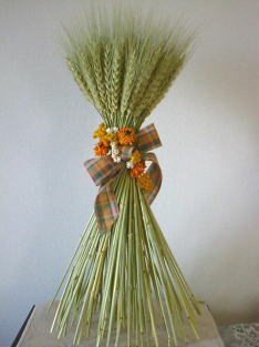 �h���C�t�����[�����̃p�j�G�b�A�g���G���������[�t