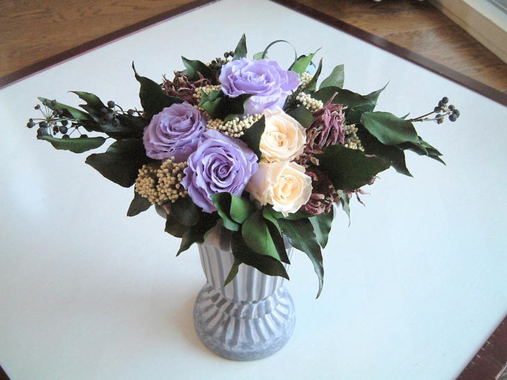 �v���U�[�u�h�t�����[�̊�A�����W�b�A�g���G���������[�t