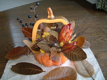 �h���C�t�����[�̃n���E�B�[���A�����W�b�A�g���G���������[�t