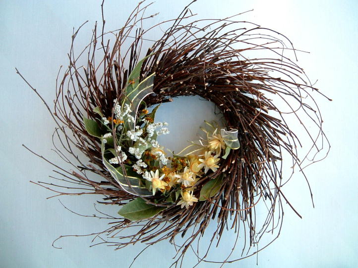 �����̎}�ł���c�B�M�[���[�X�b�A�g���G���������[�t