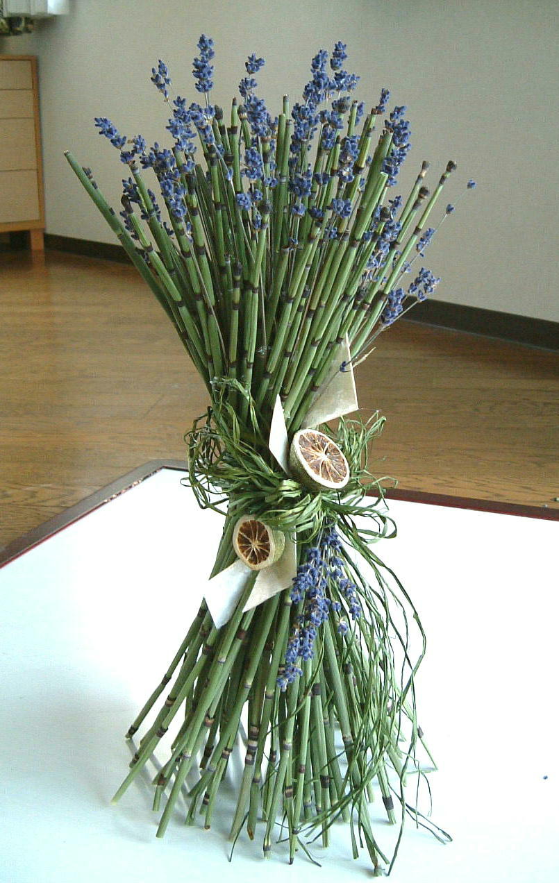 �h���C�t�����[�ł���g�N�T�̃p�j�G�b�A�g���G���������[�t