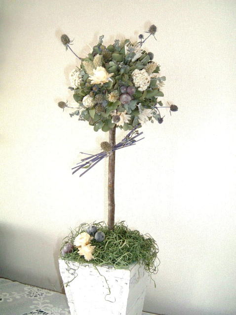 �h���C�t�����[�̃g�s�A���[�b�A�g���G���������[�t