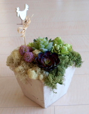 �A�[�e�B�t�B�V�����t�����[�@�O���[���C���e���A�@�@�؎D�t���b�A�g���G���������[�t