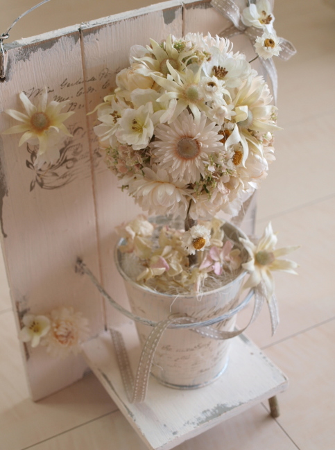 �h���C�t�����[��t�����l���t�����[���g�����s�A���[�A�����W�@�@�b�A�g���G���������[�t