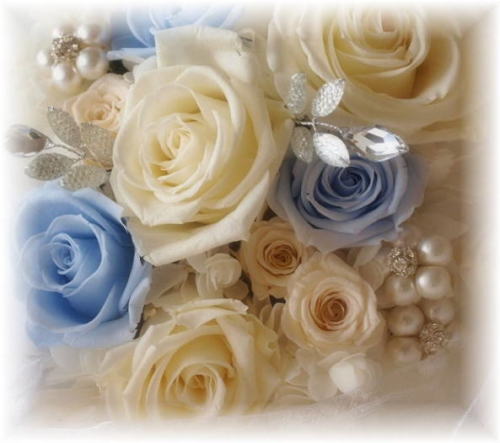 �v���U�[�u�h�t�����[�̃��[�Y�A�����W�@�S�b�A�g���G���������[�t