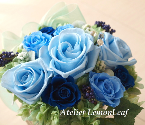 �v���U�[�u�h�t�����[�̊�A�����W�@�u���[�̃o���@�b�A�g���G���������[�t