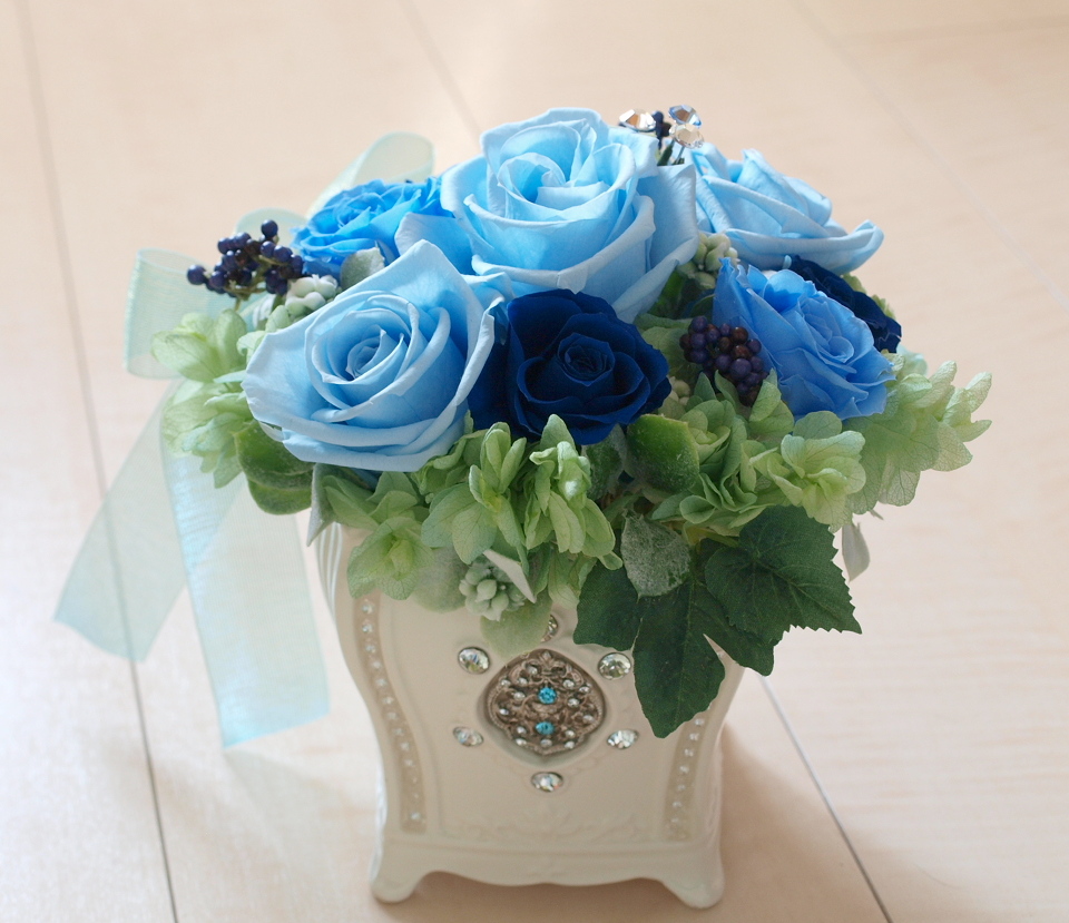 �v���U�[�u�h�t�����[�̊�A�����W�@�u���[�̃o���@�@5�b�A�g���G���������[�t