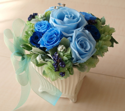 �v���U�[�u�h�t�����[�̊�A�����W�@�u���[�̃o���@3�@�b�A�g���G���������[�t