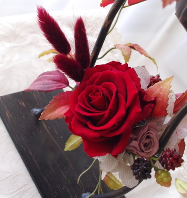 �H�̃A�����W�@�L�����h���X�^���h�@�A�����W�@�@�A�g���G���������[�t�@�A�b�v