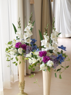 �A�g���G���������[�t�X�܃f�B�X�v���C