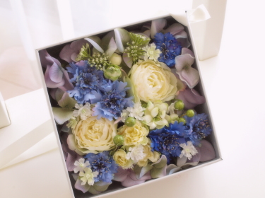 �t�̃{�b�N�X�A�����W