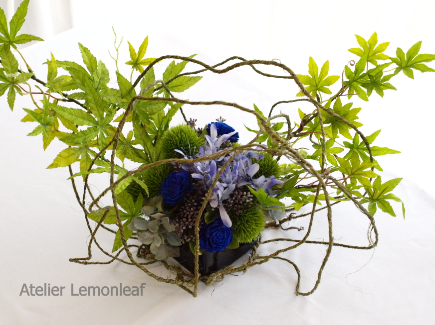 �a���@�c���@���_���A�����W�@�A�g���G���������[�t�@���݂�