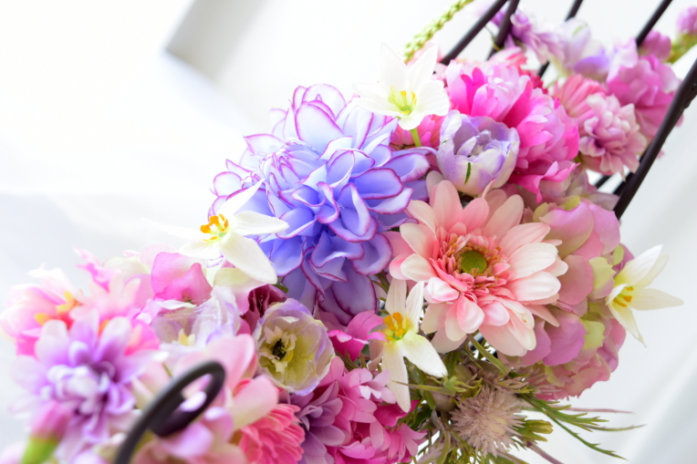 �����l�A�����W�@�A�g���G���������[�t�@���̃J�^�`�̃A�����W�@�A�b�v