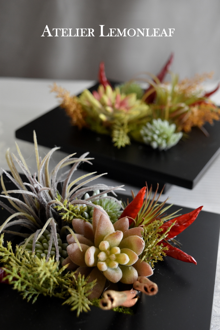 多肉植物　アレンジ　アトリエレモンリーフ　上向きにおいた画像