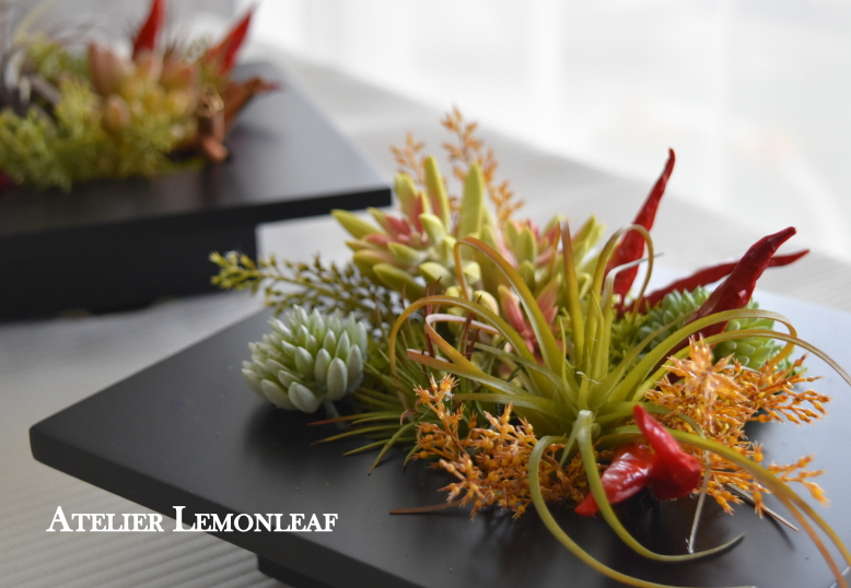 多肉植物　アレンジ　アトリエレモンリーフ　アップ