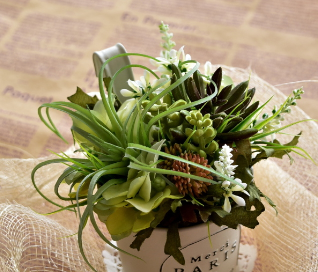 �A�g���G���������[�t�@�����A���A�����W�@TBS�n�E�W���O�@�Z���X�A�b�v�Z�~�i�[