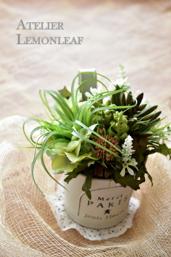 �A�g���G���������[�t�@�����A���A�����W�@TBS�n�E�W���O�@�Z���X�A�b�v�Z�~�i�[�@�T���v��