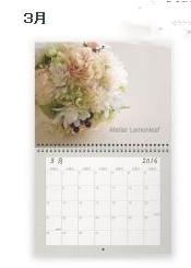 �A�g���G���������[�t�@�J�����_�[�@�S�i