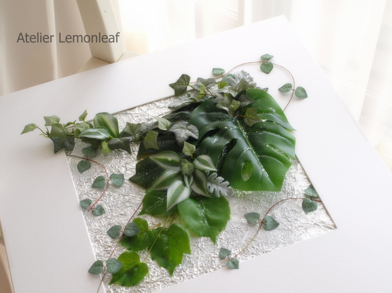 2015�@�ă��[�t�C���e���A�摜����