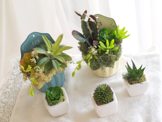 �A�[�e�B�t�B�V�����t�����[�@�O���[���C���e���A�@�@�����A���b�A�g���G���������[�t