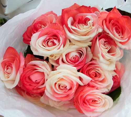 ジャパンローズ