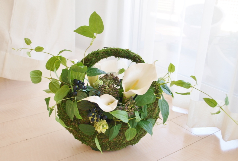 �A�[�e�B�t�B�V�����t�����[�@�O���[���C���e���A�@�R�P�x�[�X�@�b�A�g���G���������[�t