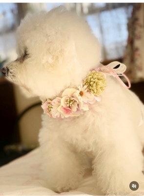 やわらか花かんむりインストラクター養成講座　花冠　はなかんむり　ペット　　アーティフィシャルフラワー　横向き｜アトリエレモンリーフ　