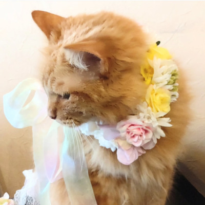 やわらか花かんむり　アーティフィシャルフラワー　　猫グッズ　　黄色花冠｜アトリエレモンリーフ　