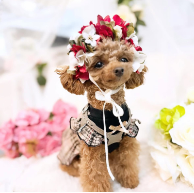 やわらか花かんむり　アーティフィシャルフラワー　犬グッズ　赤　花冠｜アトリエレモンリーフ　