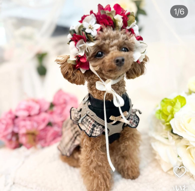 ペット用　花冠　やわらか花かんむり　インストラクター　はなかんむり　1ノンワイヤー　安全　　カワイイ花かんむり　　｜アトリエレモンリーフ　