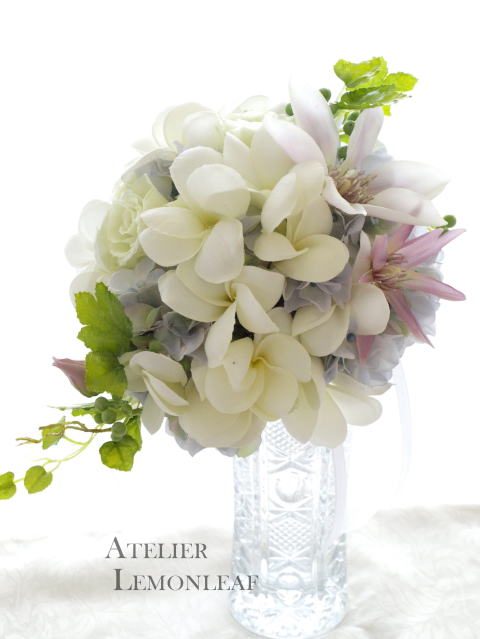 �A�g���G���������[�t�@�u�[�P�����摜