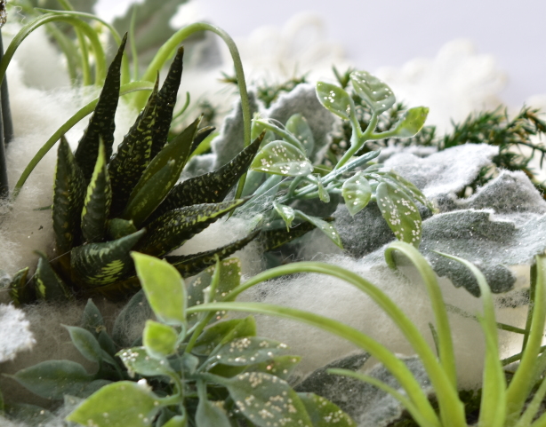 �A�g���G���������[�t�@�L�����h���A�����W�@�����A���@�n���I�`�A