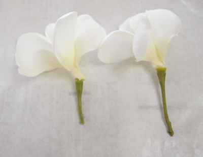 �ԍނ��������ɂ��܂��傤