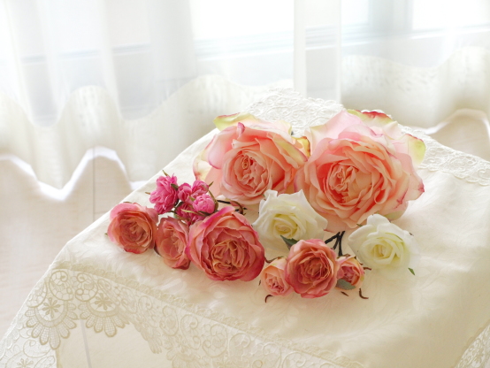 �A�g���G���������[�t�@�E�F�f�B���O������