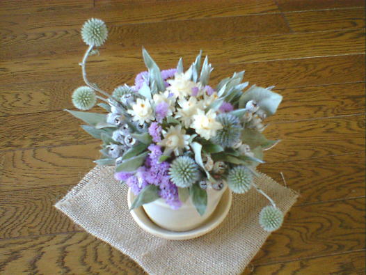 �h���C�t�����[�̗ڗ��ʃA�U�~�̃e���R�b�^�A�����W